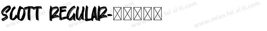 Scott Regular字体转换